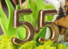 99Т